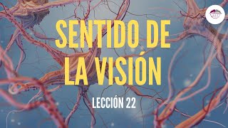 22 SENTIDO DE LA VISIÓN FISIOLOGÍA DEL SISTEMA NERVIOSO [upl. by Kayley507]