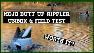 Mojo Rippler Unboxing amp Field Test [upl. by Nert]