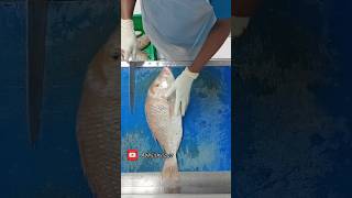 Emperor Lethrinus nebulosus വിള മീൻ  shiery fish cleanshorts fishmonger music cuttingskills [upl. by Marlee152]