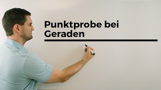 Punktprobe bei Geraden in der Vektorgeometrie  Mathe by Daniel Jung [upl. by Stew761]