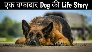 A Dog Named Palma  Movie Explained in Hindi  Sad amp Emotional Movie  6910 IMDB Ratings [upl. by Breena]