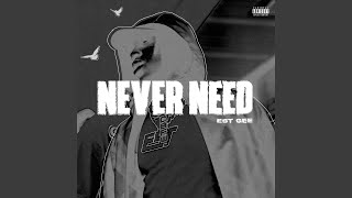 NEVER NEED [upl. by Amehsat]