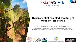 26th IPM Seminar 2 HyperspectralAssisted Scouting of VirusInfected Vines wLuca Brillante [upl. by Anaitsirc]