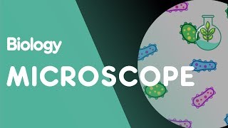 How to use a Microscope  Cells  Biology  FuseSchool [upl. by Allcot]