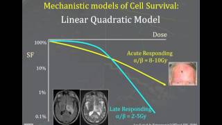 Radiobiology and principies of radiotherapy [upl. by Arehc32]