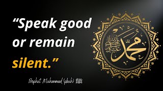 35 Inspirational Prophet Muhammad pbuh Quotes  Which are better to known for youre life quotes [upl. by Sirdna]