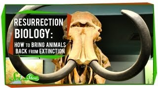 Resurrection Biology How to Bring Animals Back From Extinction [upl. by Nelrac]