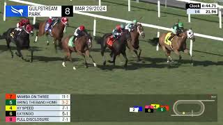 Gulfstream Park Carrera 8  29 de Marzo 2024 [upl. by Kamillah]