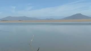 Rosario Sinaloa bajos niveles de agua en la Laguna del Caimanero [upl. by Alsworth]