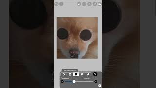 ХПХАХПЗПХПХППХХХХПХАХАХХА врекзаюш активвернись roblox sascha funny birds  dog❤️❤️ [upl. by Anhaj]