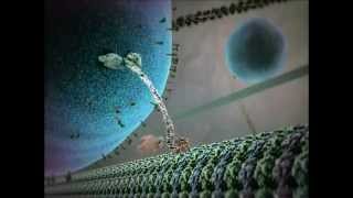 Kinesin protein walking on microtubule [upl. by Hendrik895]