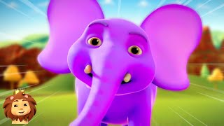 Hathi Wala Cartoon एक मोटा हाथी  More Animal Nursery Rhymes amp Kids Songs By Magic Jungle [upl. by Yelroc319]