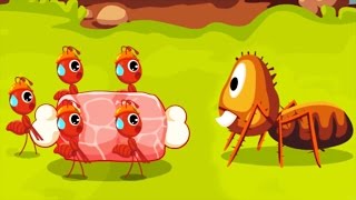 Learn The Life Cycle Of Ant  Baby Panda Explore Ant Colonies  Kids Educational Learning Game [upl. by Nyrok]