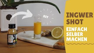 Ingwer Shot Rezept  Einfach selber machen und Müll sparen  Zero Waste Küche [upl. by Tamaru]