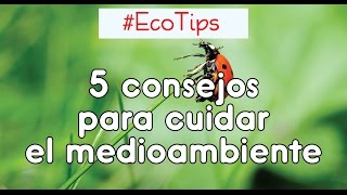 🖐️ 5 CONSEJOS para CUIDAR EL MEDIOAMBIENTE 🌱 parte 1 ☞ EcoTips [upl. by Litha]