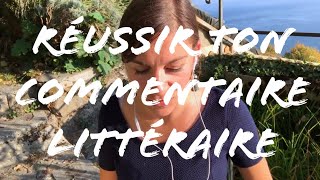 COMMENT FAIRE UN COMMENTAIRE LITTERAIRE [upl. by Sig]