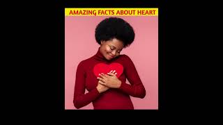 AMAZING FACTS ABOUT HEART IN HINDI fact amazingfacts factvideo amazingsfacts heartday heart [upl. by Tigram91]