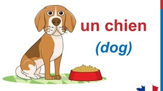 French Lesson 58  ANIMALS in French Vocabulary LES ANIMAUX en français Animales en francés [upl. by Anitserp]