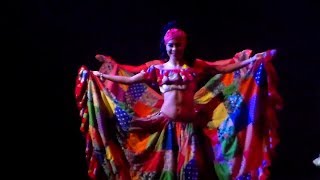 La Pollera colorada  Bailable y Coreografía espectacular [upl. by Eelimaj]