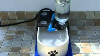 Best Cat Water Fountain Basic Fountain Demo  Glacier Point for Cats [upl. by Nicram875]