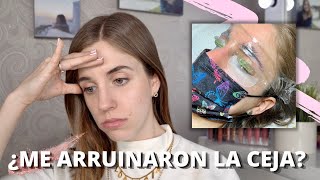 MI EXPERIENCIA CON EL LAMINADO DE CEJAS ¿FUNCIONA I Florencia Guillot [upl. by Enyrat27]