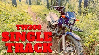 Can my TW200 Handle Technical Single Track [upl. by Rhu]