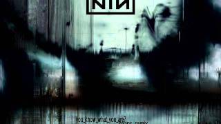 Nine Inch Nails  You Know What You Are Reaps Remix [upl. by Ellennahs540]