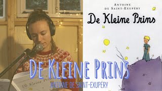 DE KLEINE PRINS  Widening Circles Audioboeken [upl. by Garlinda90]