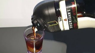 How to make Sheridans Coffee Layered Liqueur Shot Drink 🥃 [upl. by Ennahs115]