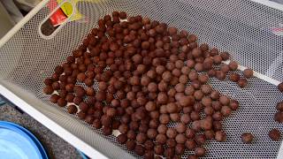 Making Creamy FishmealSquid boilies [upl. by Sicard326]