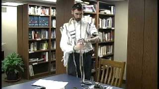 How to put on Tefillin [upl. by Ahsinelg31]