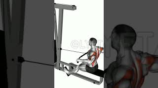 Low Pully Row Wide Grip fitness gym [upl. by Anned]