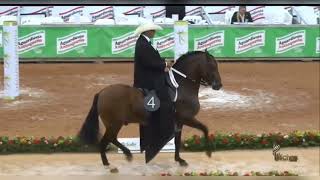 Las mejores ferias equinas caballofino parati colombia caballoscolombianos corridos parati [upl. by Murielle]