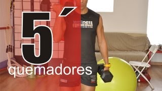 Video 5 Minutos de Entrenamiento Aerobico Quema Grasa Rutina de Ejercicios en Casa [upl. by Ortrud]