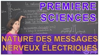 Nature des messages nerveux électriques  Sciences 1ère ESL  Les Bons Profs [upl. by Parfitt]