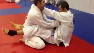 Rolling with Ryron Gracie [upl. by Bornstein]