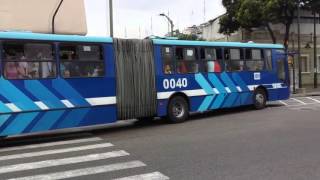 METROVIA DE GUAYAQUIL VIOLA LAS SEÑALES DE TRÁNSITO [upl. by Aerdnuahs]