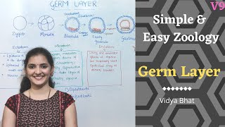 Germ Layers  Formation  Ectoderm  Endoderm  Mesoderm  Derivatives Diploblastic  Triploblastic [upl. by Viviyan]