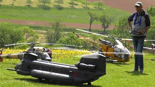 Boeing CH47 Chinook Scale Vario Helicopter RC Model [upl. by Arianna]