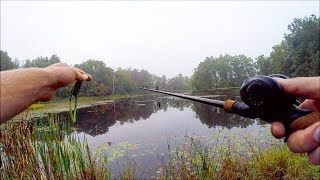 Fishing In Bowfin HEAVEN [upl. by Brittni752]