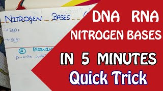 DNA RNA Structures Nitrogen Bases Direct Trick  In 5 minutes  Jee Mains  Chemistry  11 12 [upl. by Leilah]