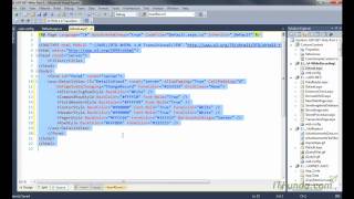 How to show a record using DetailsView in ASPNET [upl. by Prinz198]