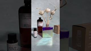 DIY Reed Diffuser  How To Home Fragrance Craft Project [upl. by Elleivad]