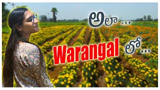 Family tho ala warangal ki vellam  Sathvika Chirunagula  Vlog4 [upl. by Ylelhsa]