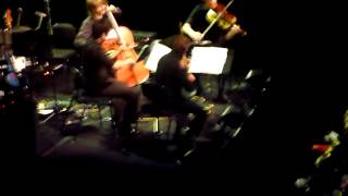 Planetarium  Diacritical Marks 2nd Movement  Nico Muhly  Orava String Quartet [upl. by Hukill476]