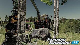 Birches Getting Down  FS22  Timelapse [upl. by Ilak]