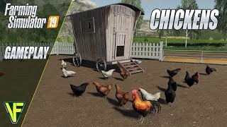 Farming Simulator 19 Guide To Chickens [upl. by Ashla]