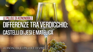 Differenze tra Verdicchio dei Castelli di Jesi e Verdicchio di Matelica [upl. by Alletse]