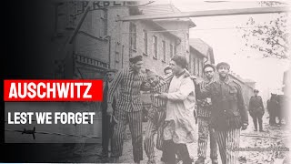 Auschwitz  Lest we Forget [upl. by Aeslek]