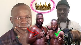 Hoy‼️ Saltigui wally Diouf waxana Lima guiss Thie Combat di Modou Lo mou dane Siteu AllahouAkbar lo [upl. by Daniele672]